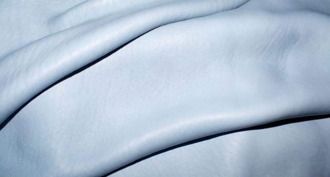 wet_blue_2